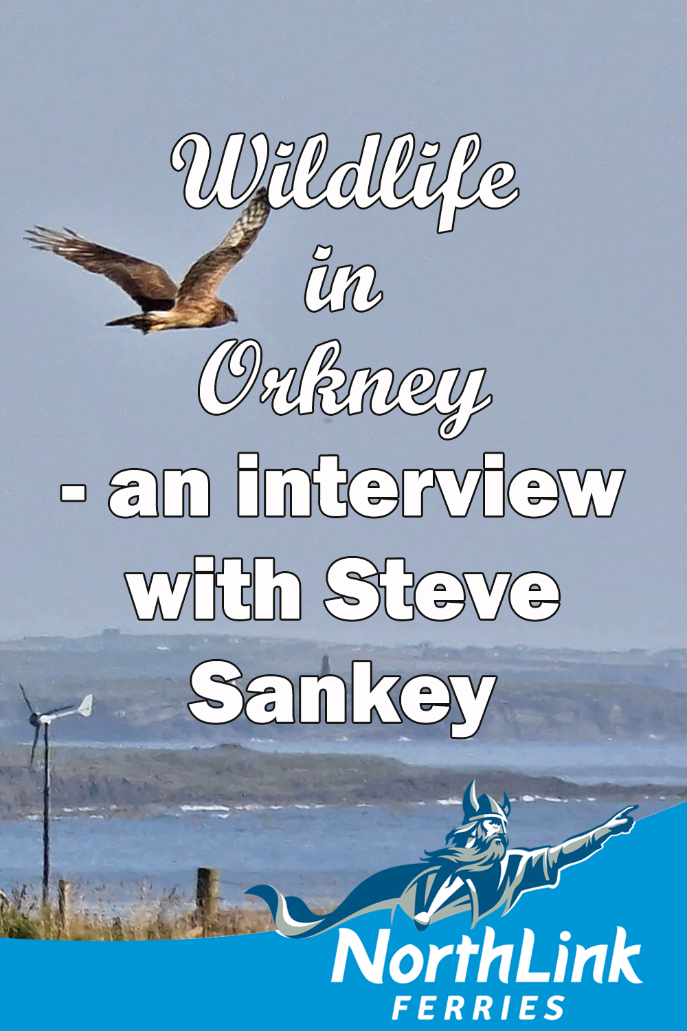 Wildlife in Orkney - an interview with Steve Sankey