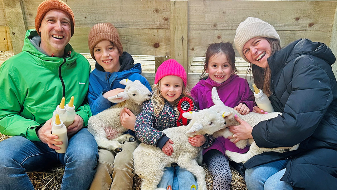 Cuddling and feeding the lambs at Farm Stop