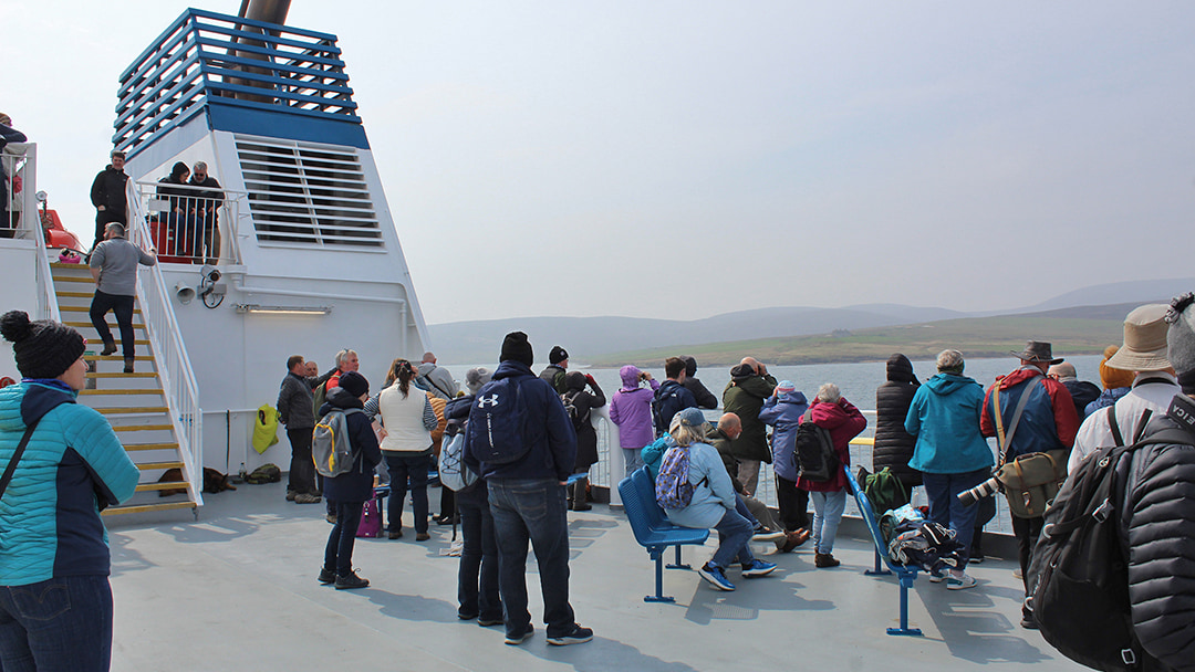 Hamnavoe Nature Cruise as part of Orkney Nature Festival