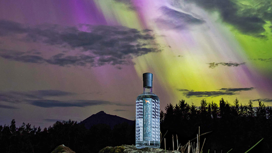 Aberdeenshire Foraged Gin in front of Bennachie and the Northern Lights