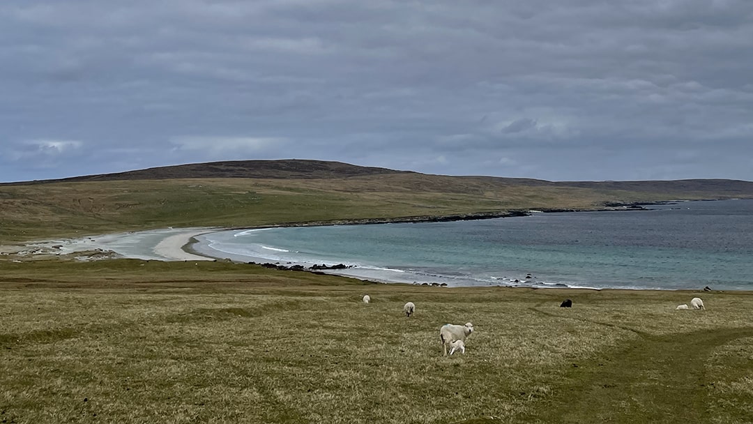 A Viking longhouse and an Iron Age structure can be seen at Sandwick Beach in Unst, Shetland