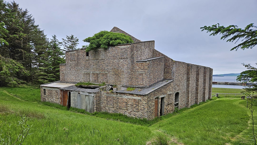 Flotta's forest behind the cinema is a surprise to visitors