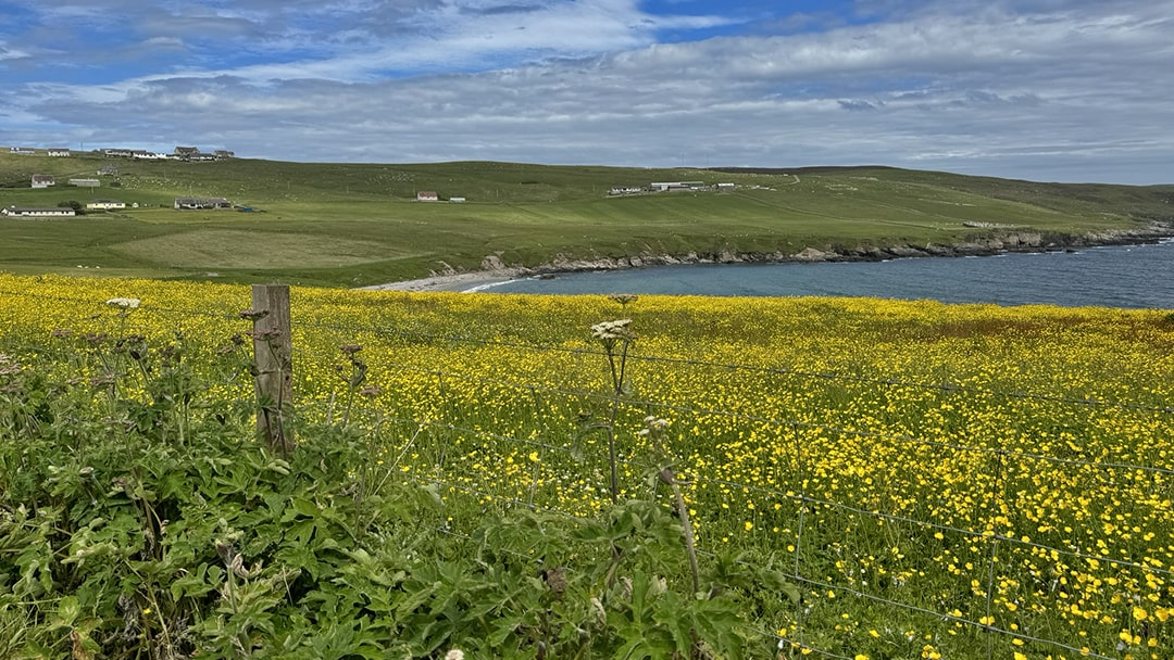 Looking across to Gulberwick Beach