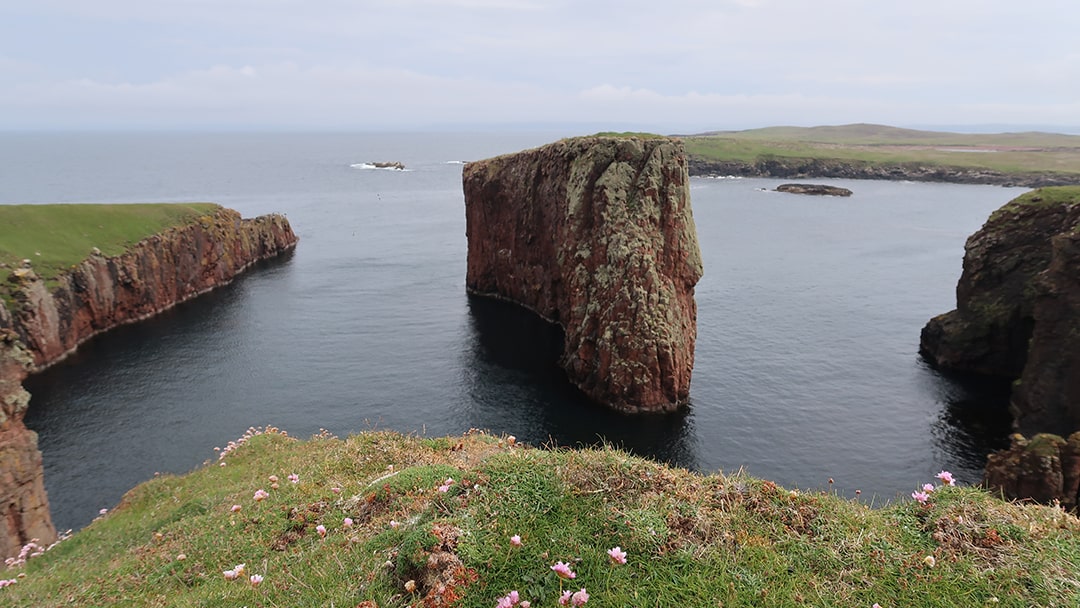 Papa Stour boasts spectacular coastal scenery