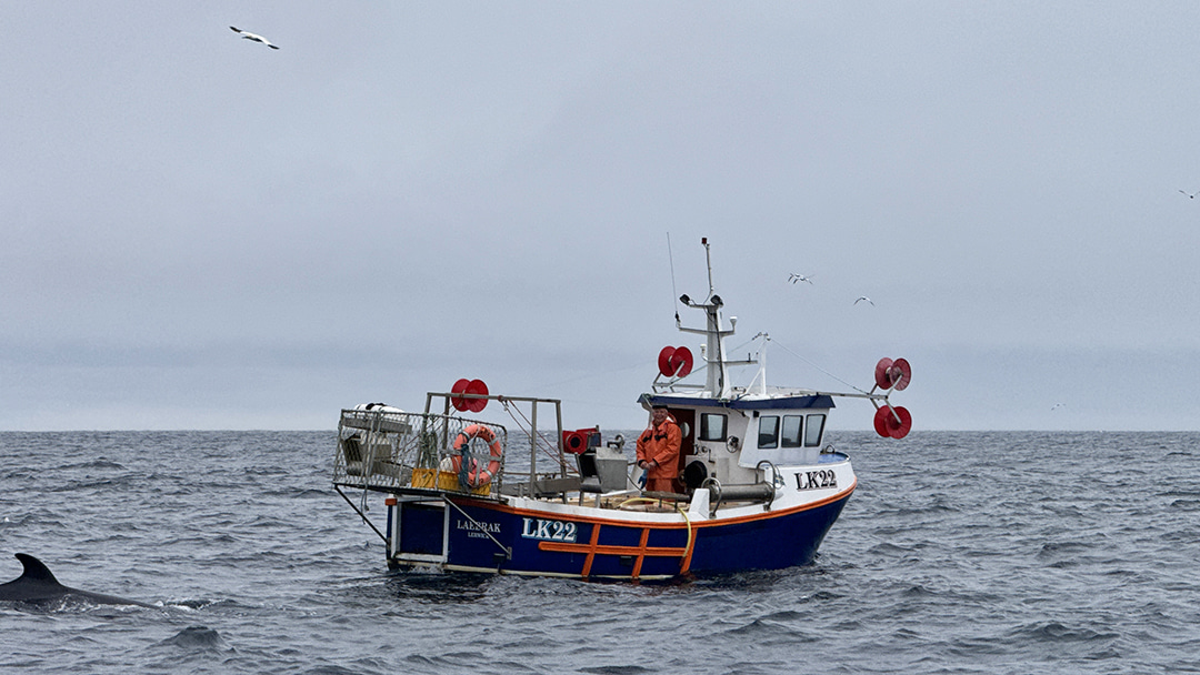 A minke whale spotted circling a fishing boat