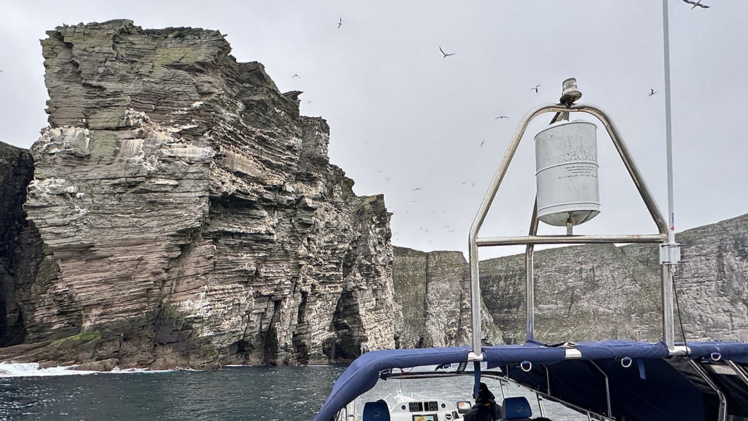 Enjoying a boat tour to view the gannet colonies at Noss