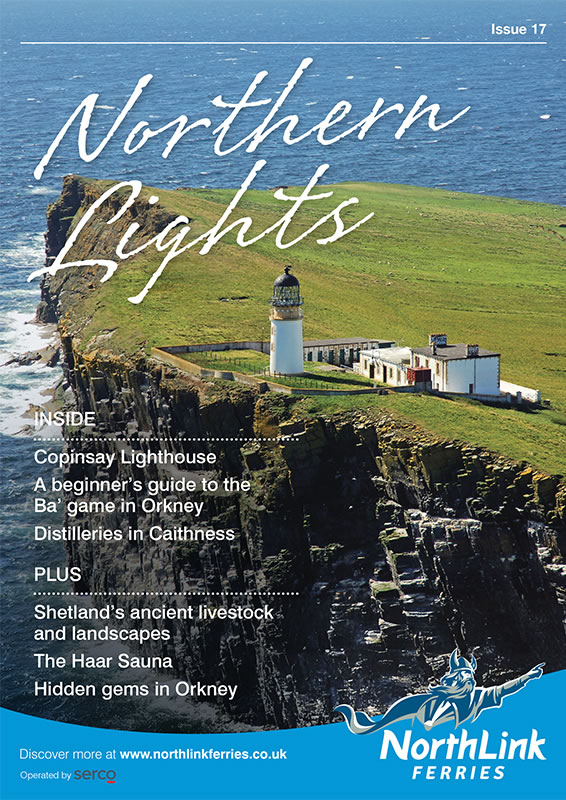 Northern Lights Issue 16