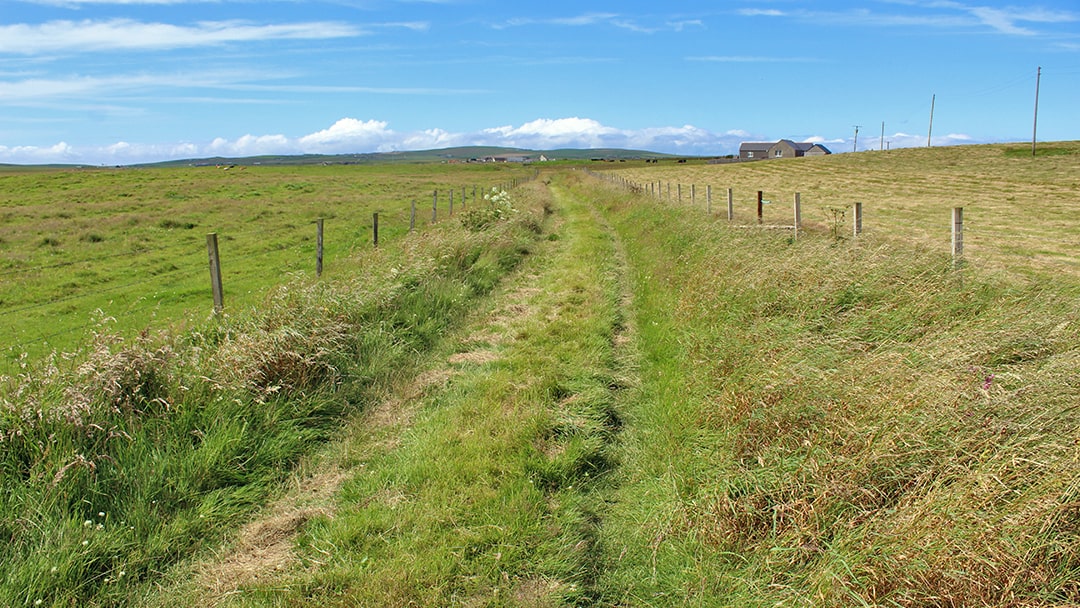 Swartland Drovers Road