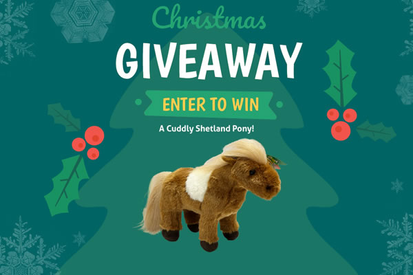 Competition - win a cuddly Shetland Pony