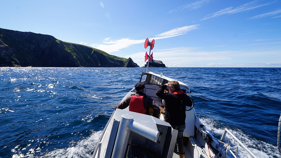 Heading out on a boat trip to explore bird-filled cliffs