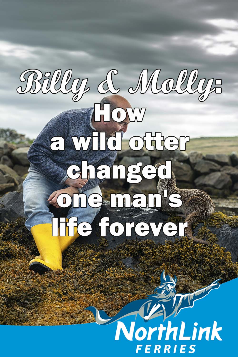 Billy & Molly: how a wild otter changed one man's life forever