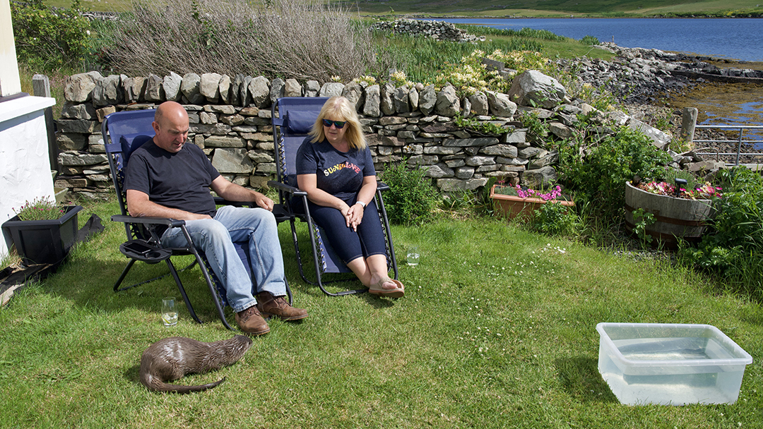 Billy and Susan sit on the lawn in deck chairs watching Molly laying in front of them