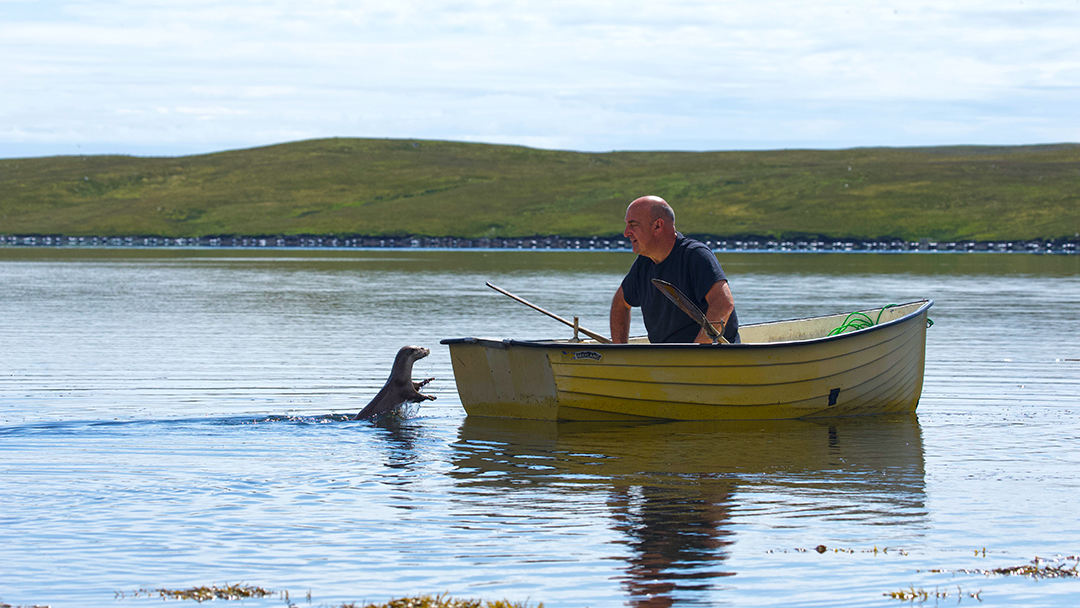 Molly leaps out of the water to the transom of Billy's dinghy as he looks on from the boat