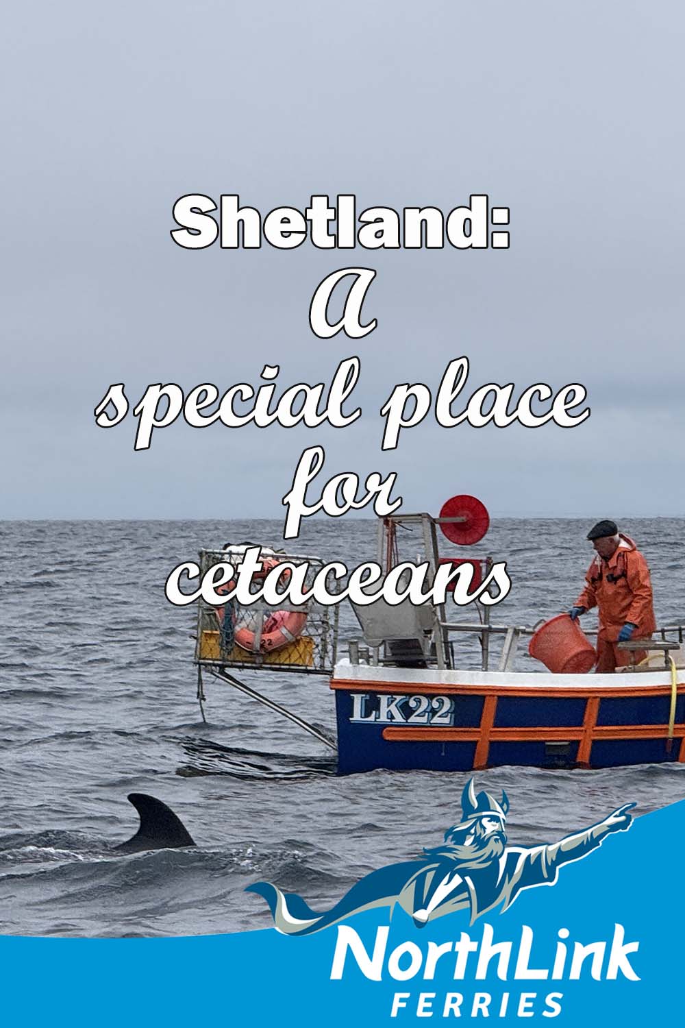 Shetland: A special place for cetaceans